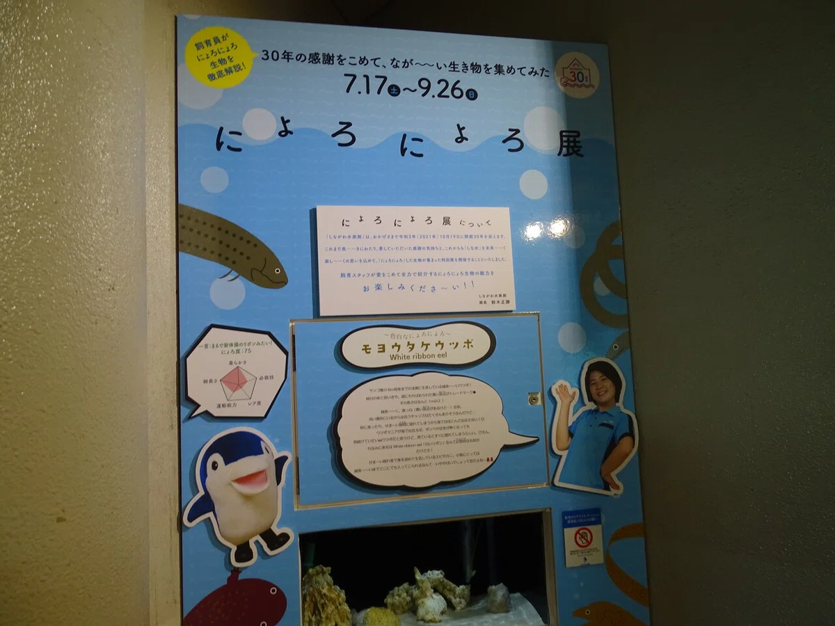 画像51