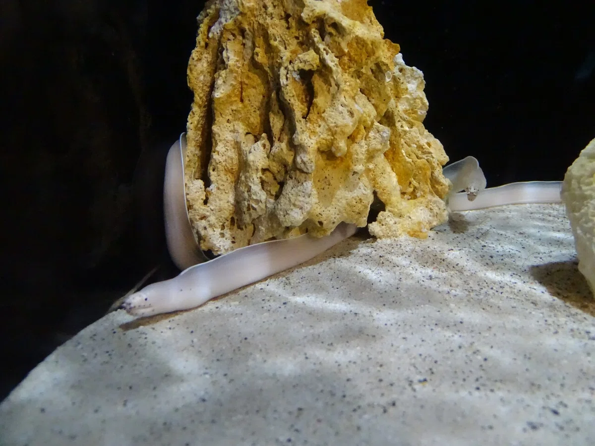 画像53