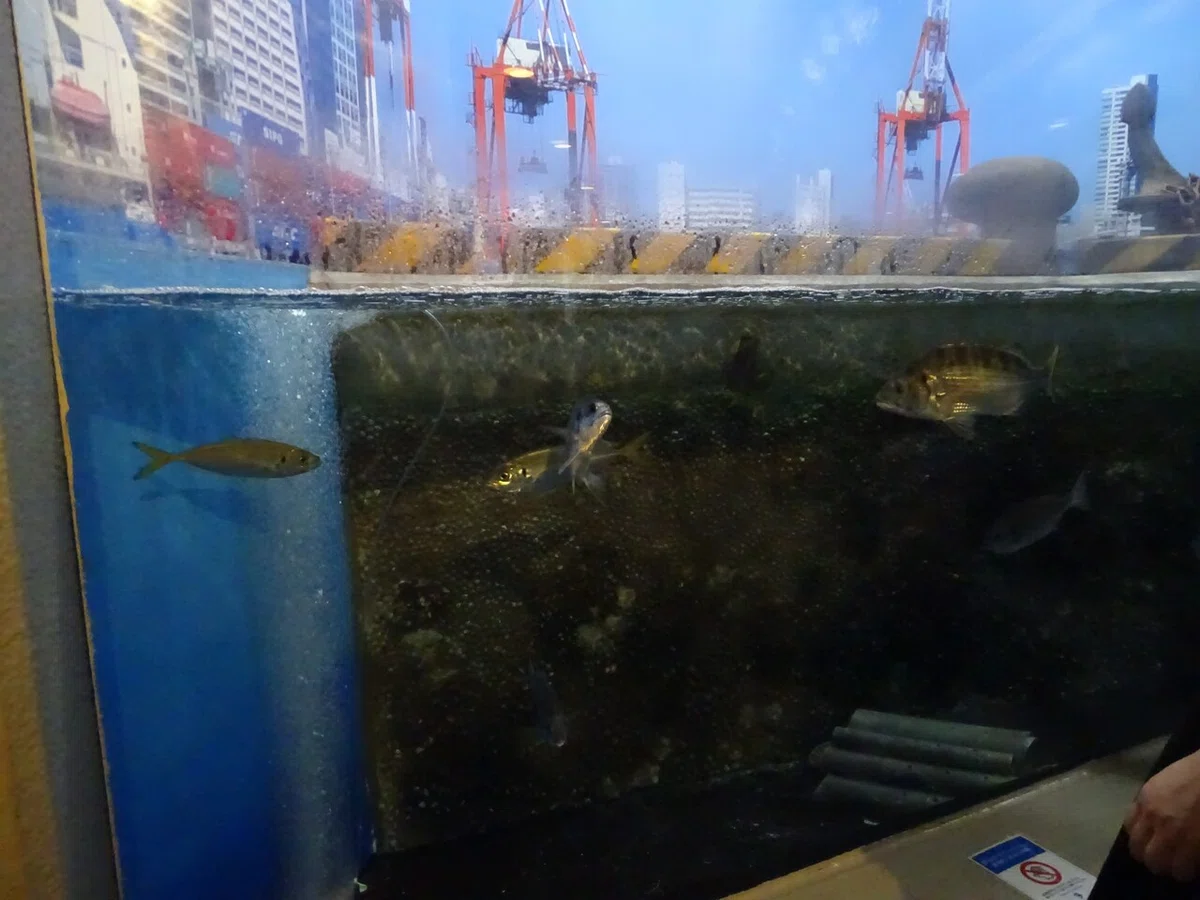 画像57