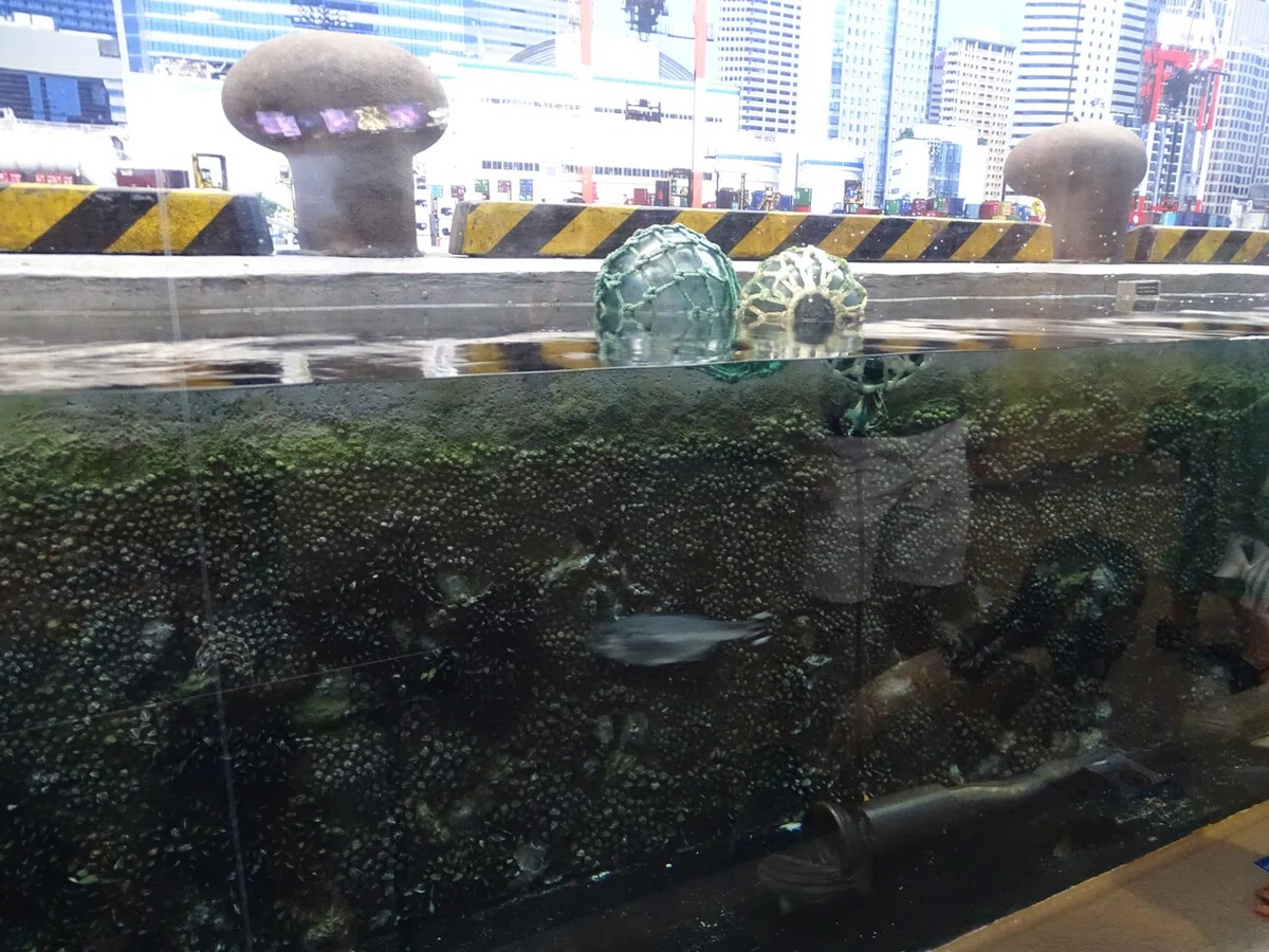 画像59