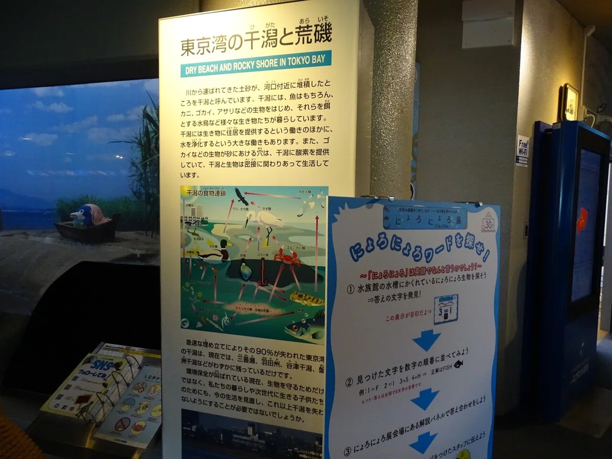 画像46