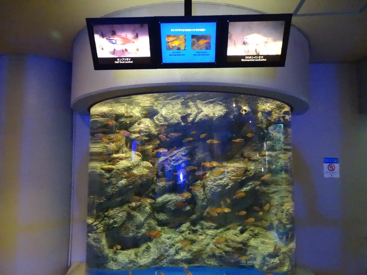 画像41
