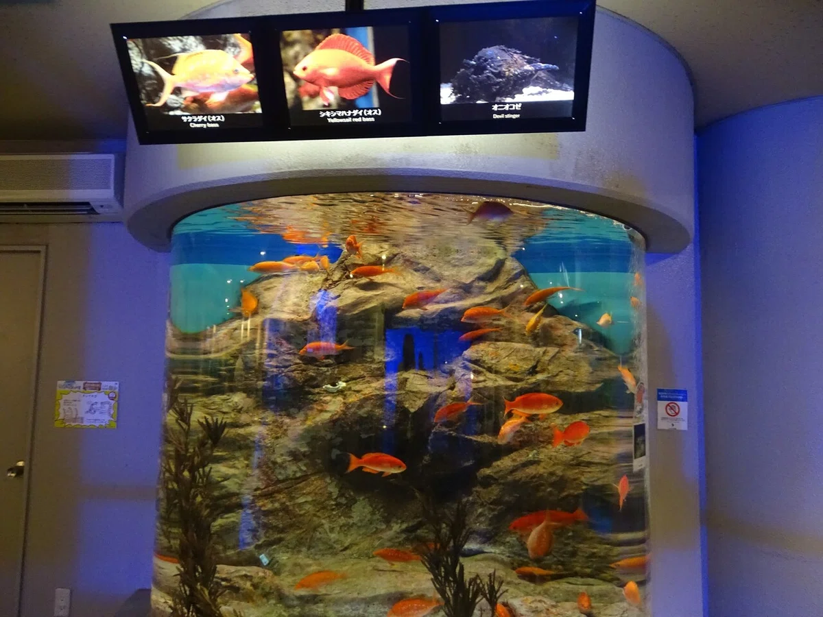 画像67