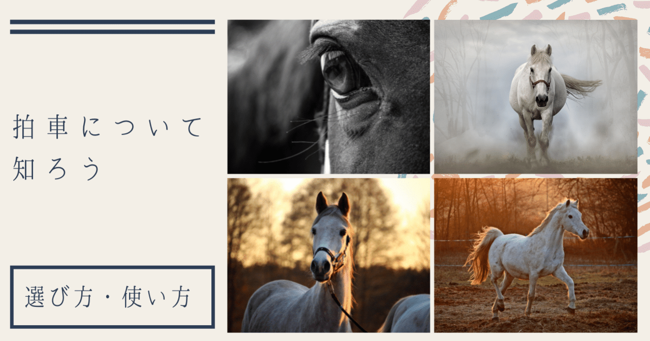拍車について知ろう〜選び方・使い方〜｜うまのこと