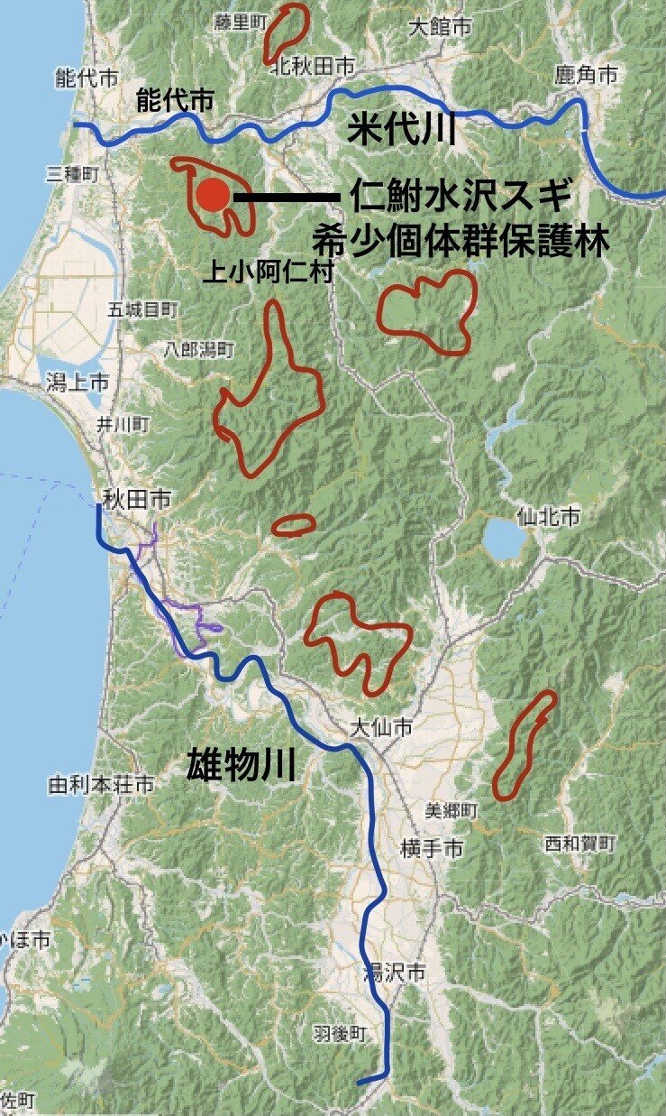 東北森林管理局/管内の概要(管内図・案内図)