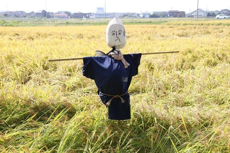 かかしの町に行って かかしをつくったお話 なっつのぐるぐるぐるり Note かかしの町に行って かかしをつくったお話 なっつのぐるぐるぐるり Note