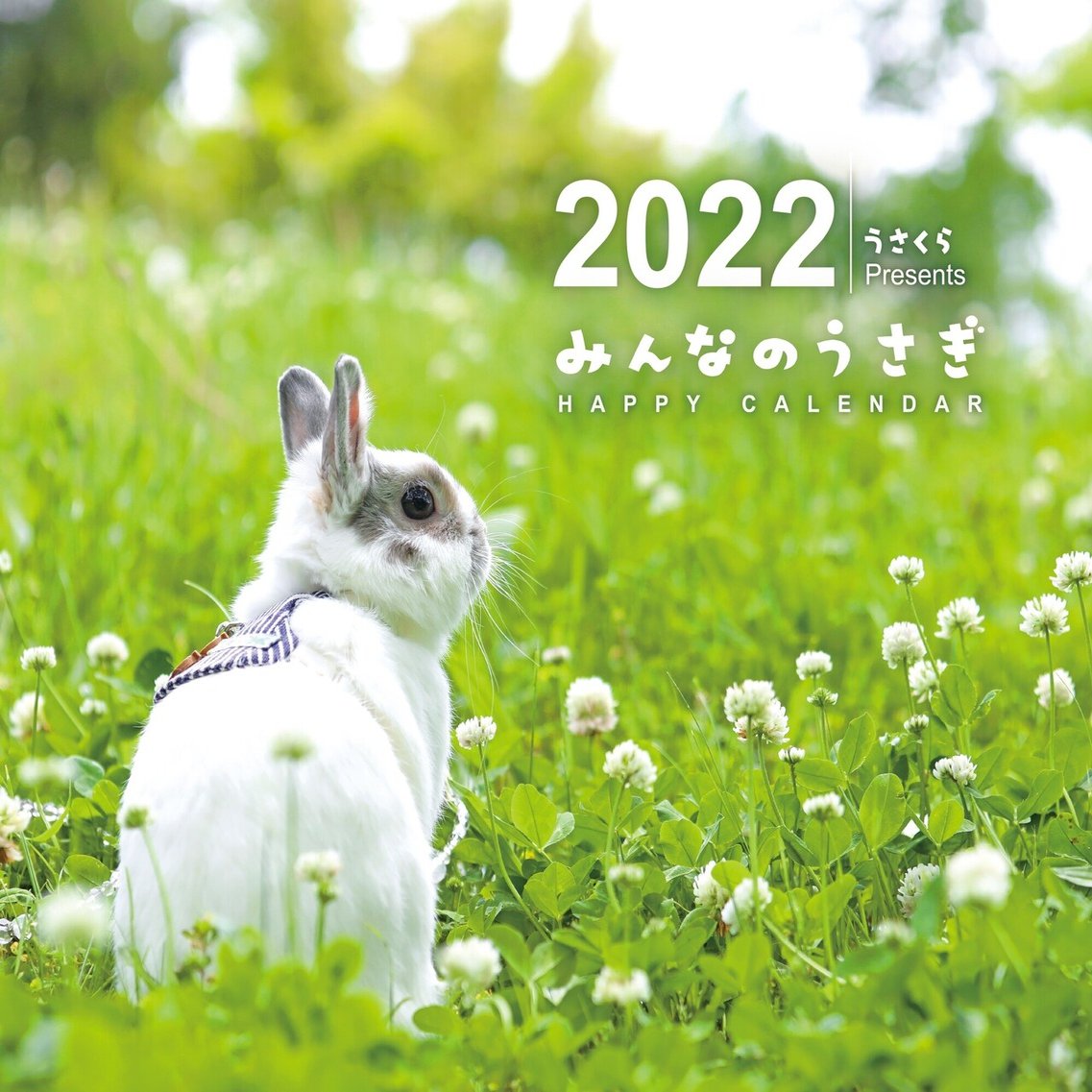 お知らせ うさぎのカレンダー発売します メディアパル Note