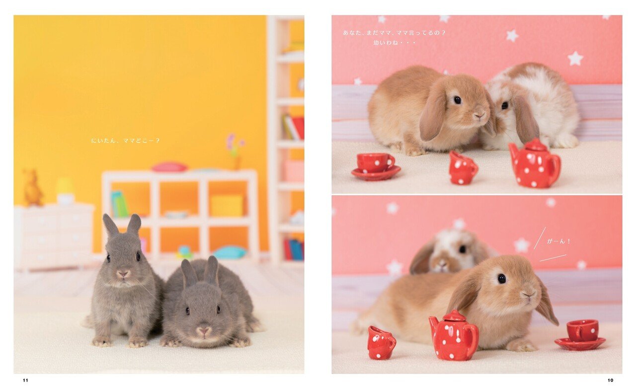 お知らせ うさぎのカレンダー発売します メディアパル Note