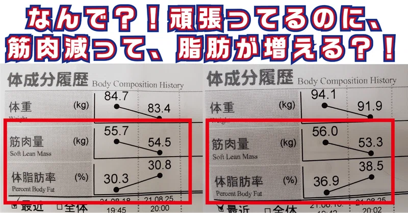 ８週間チャレンジ の新着タグ記事一覧 Note つくる つながる とどける
