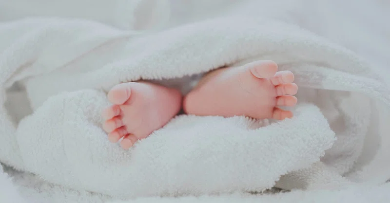 子供が欲しいかわからない人が子供を欲しくなる本に出会いたい みにまむ Note