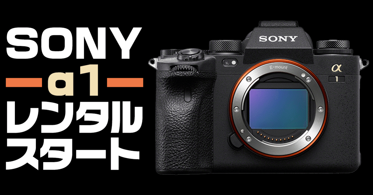 高速AF＆高速連写☆SONY ソニー α65☆一眼レフカメラ☆美品！ Amazon | SONY ミラーレス一眼 α65 ダブルズームレンズキット DT