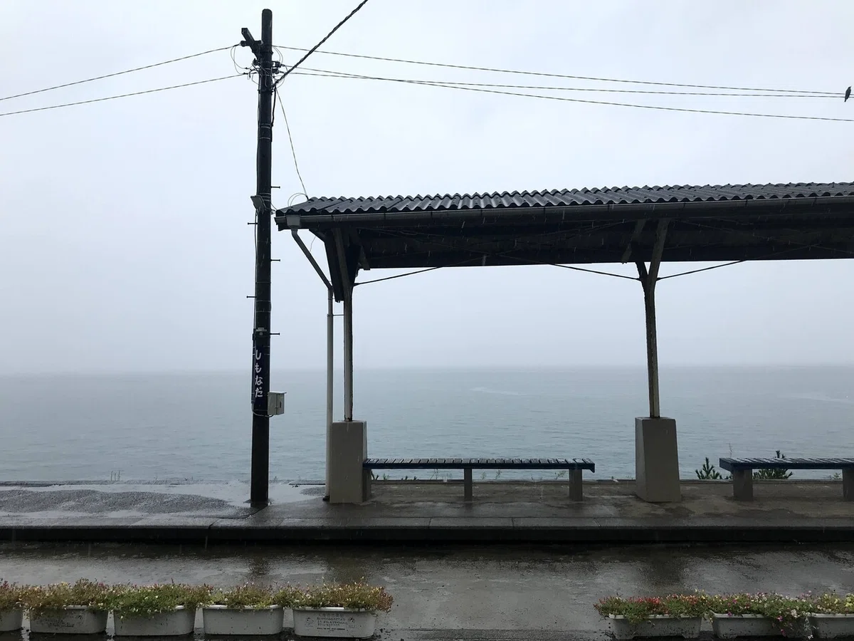 画像15