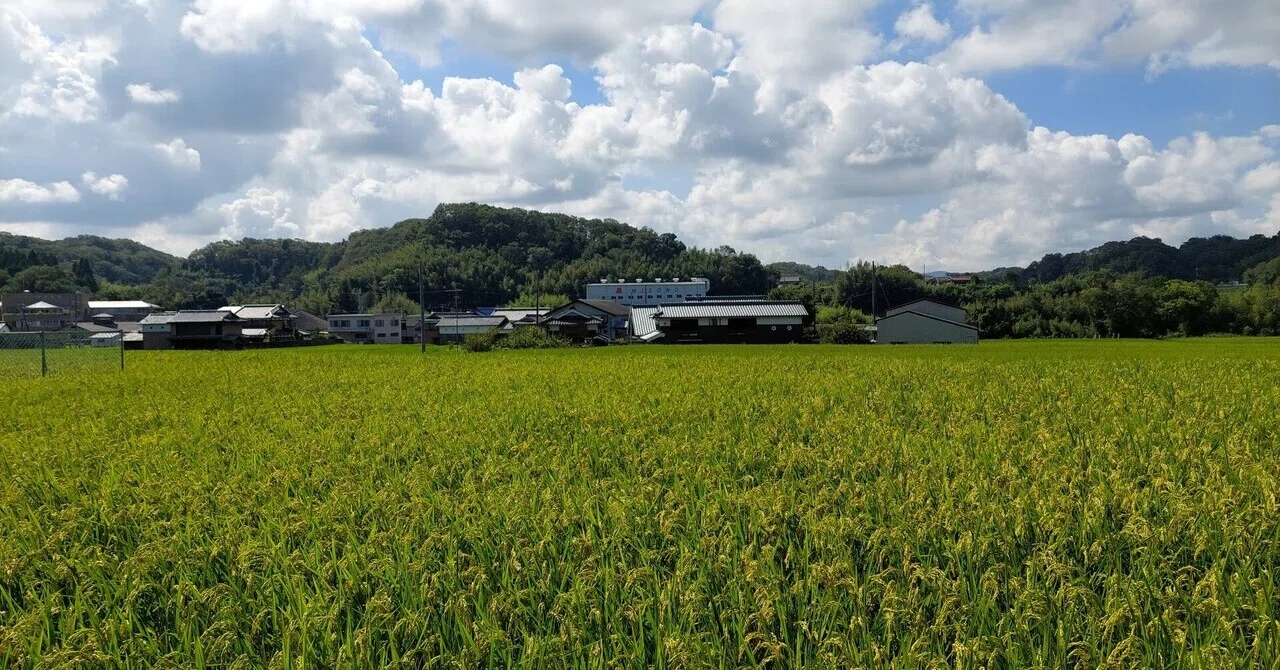 田舎家のこと ~いなかやと呼ぶ! ~｜ババアの田舎暮らし