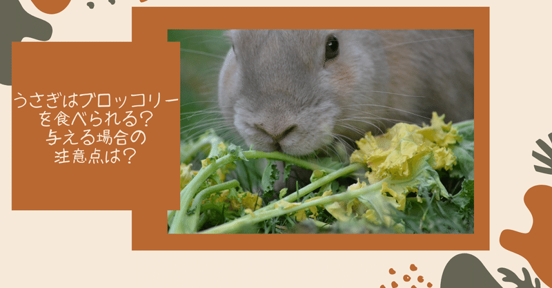うさぎの杜 の新着タグ記事一覧 Note つくる つながる とどける
