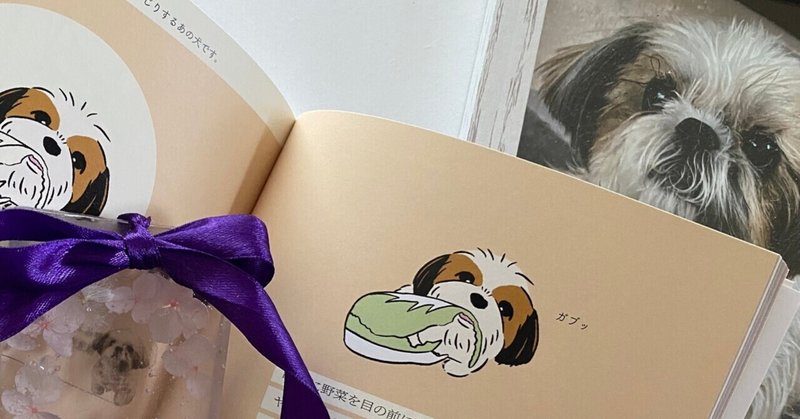 変な犬図鑑 の新着タグ記事一覧 Note つくる つながる とどける