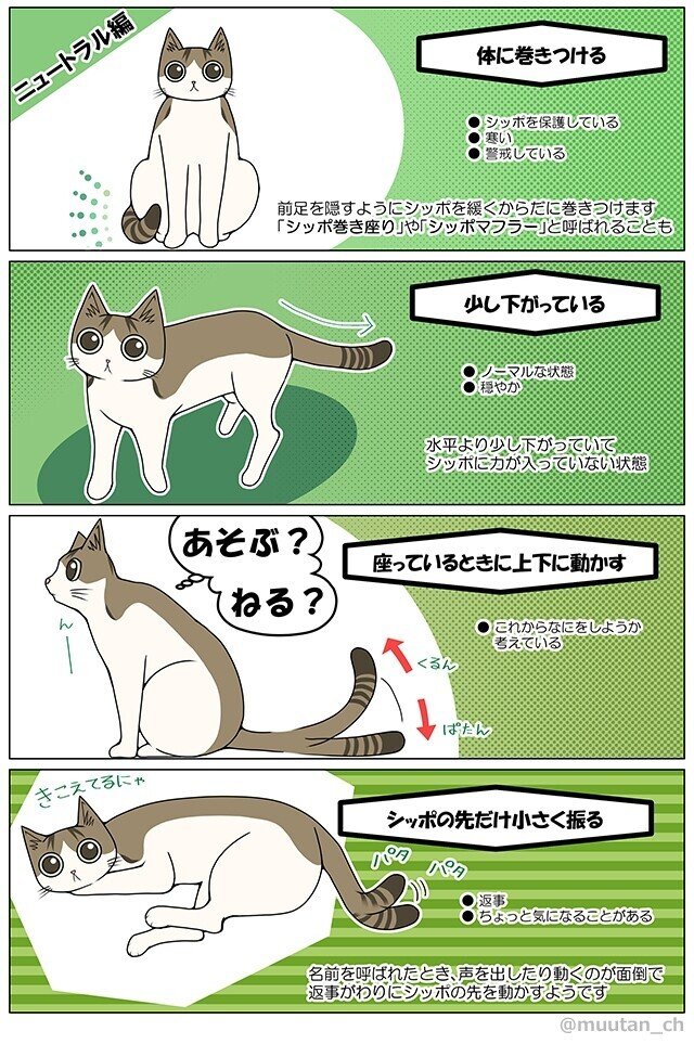 シッポで分かる猫の気持ち むーたん漫画エッセイ Note