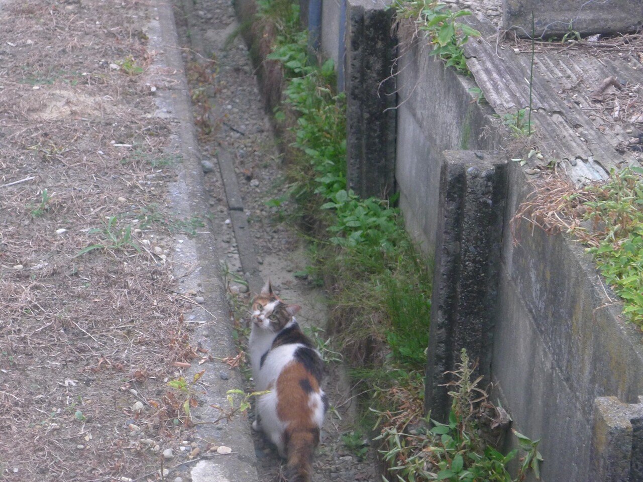 画像9