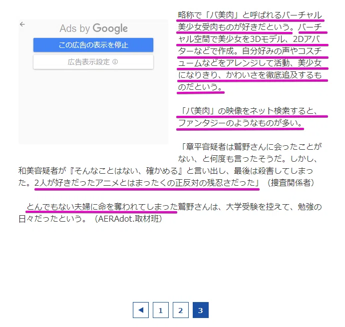 「バ美肉」アニメ好きの20代新婚夫婦が女子高生を「殺害」した仰天の動機 (3_3) 〈dot.〉|A