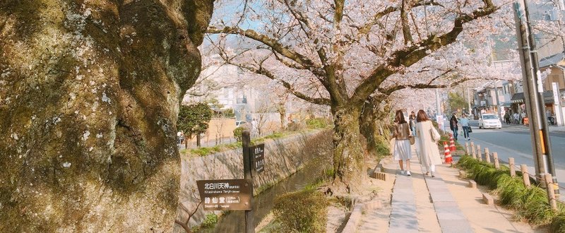 春の京都に来るなら、ここにも寄りたい！（京都在住20年のライターがオススメする昼〜夜ご飯＆甘味処スポット）