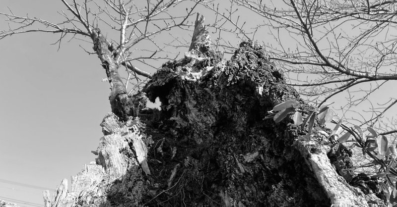 1日一名言 2 高桑潤一 Junichi Takakuwa Note