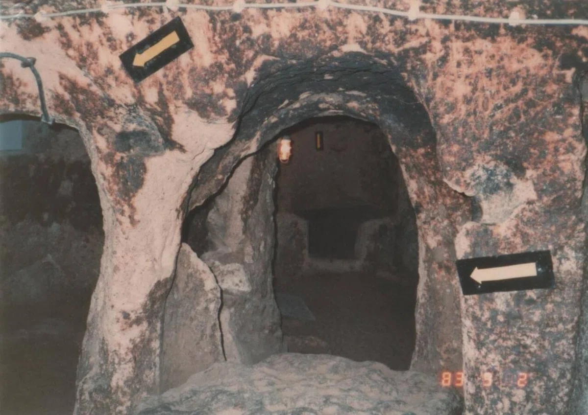 画像14