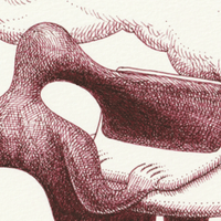 22年のシナリオコンクールラッシュまとめ Vivi Note