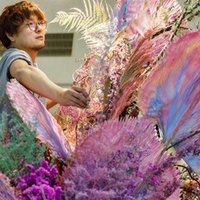すぐそばにある花でもできる 押し花 の作り方 Greenpiece Note