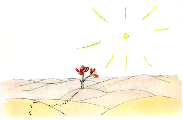 18 砂漠に咲く花 Hibiki Note