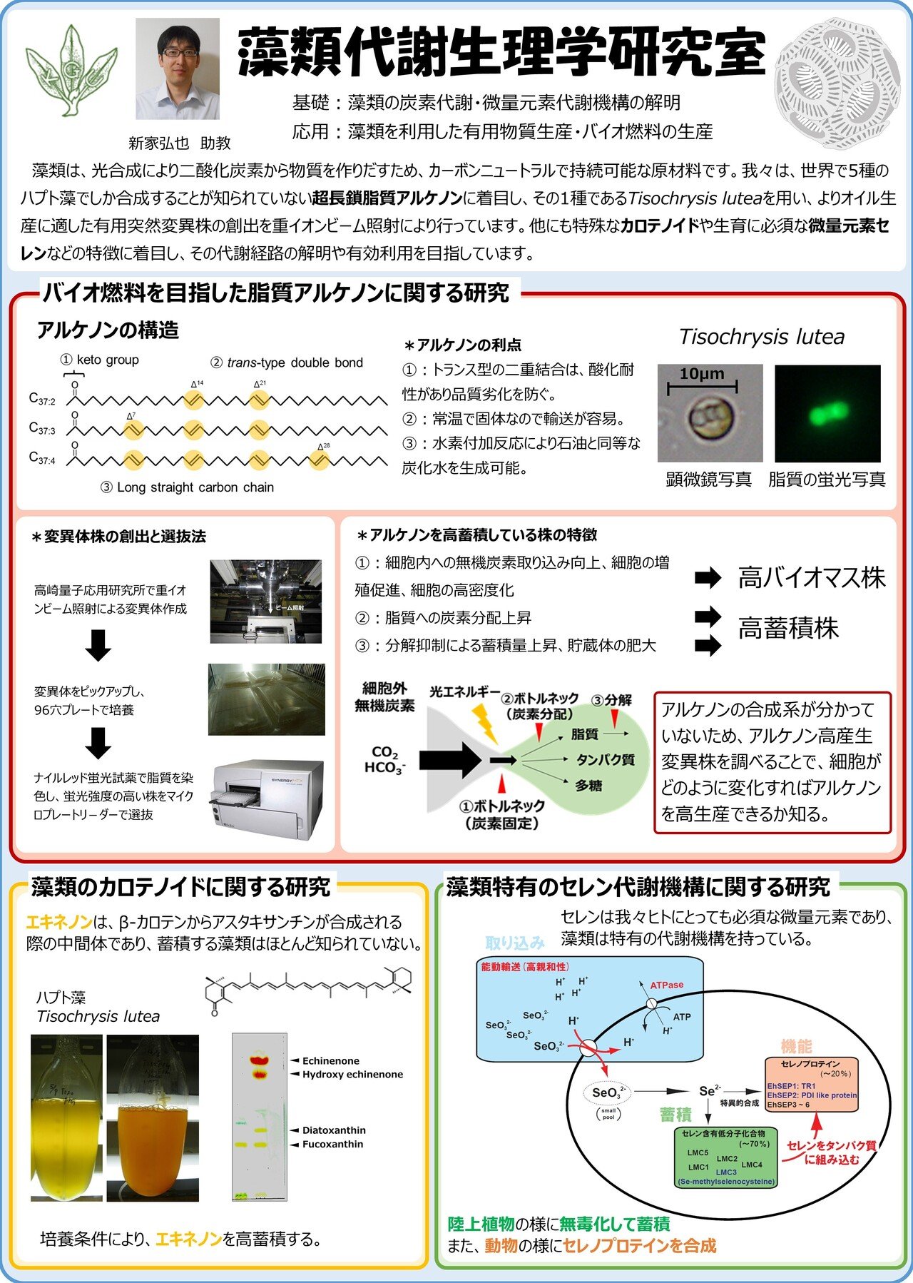 藻類代謝生理学研究室（新家 弘也）｜関東学院大学 生命学系