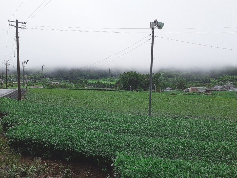 画像12
