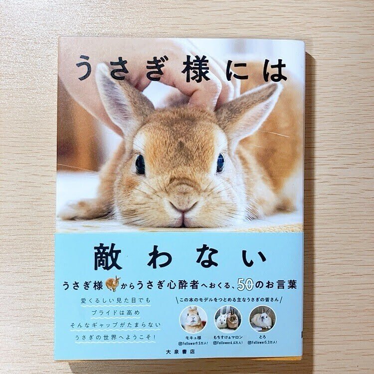 9/3入荷】うさぎ様には敵わない｜横浜のうさぎ本しかない本屋/本屋うさぎ道