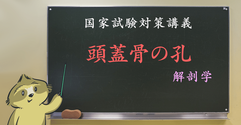 解剖学 図解イラストとゴロで簡単 頭蓋の骨にある穴をとおるもの 覚え方 森元塾 国家試験対策 Note