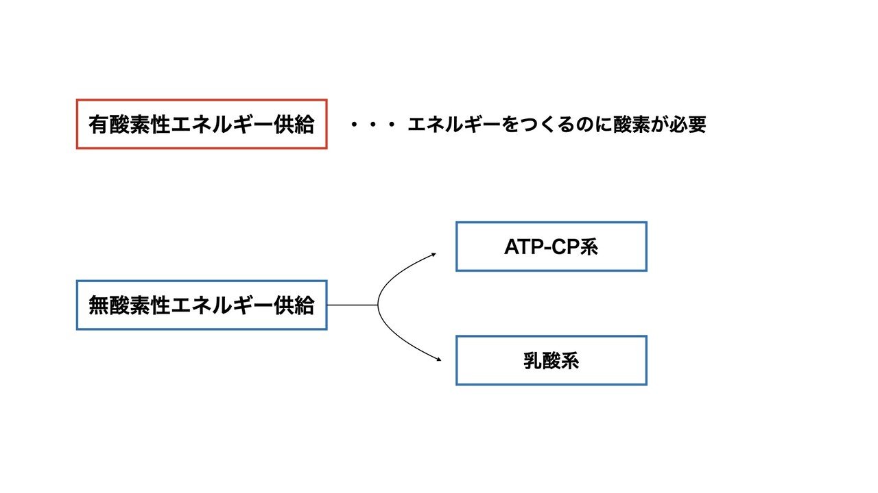 563 柔術が体力的に強い人 Yamawaki Bjj Note