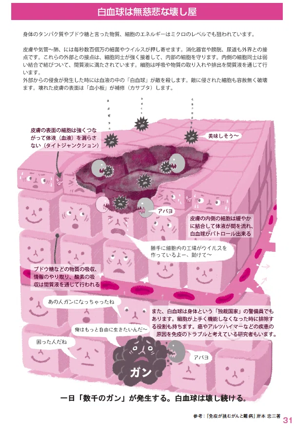 スクリーンショット 2020-05-31 11.26.35