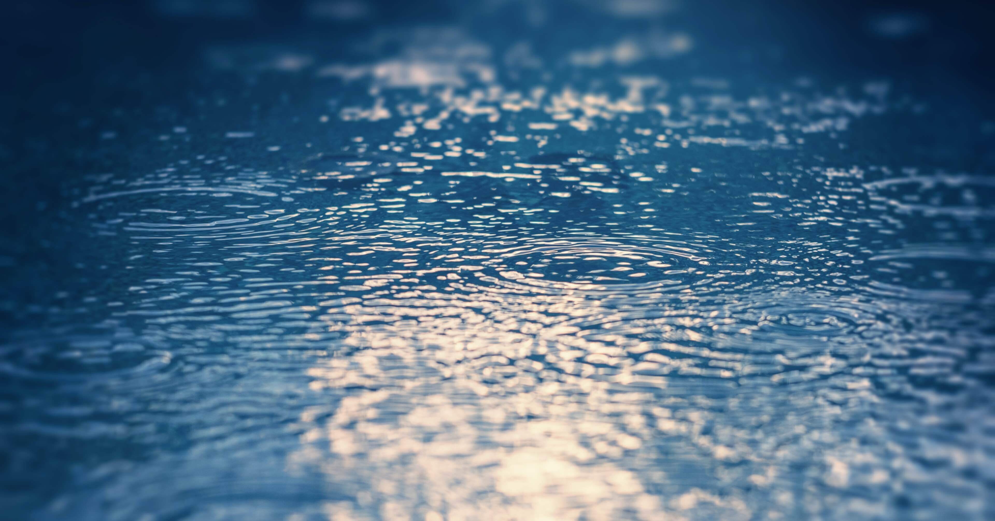 21 09 02 この恋は世界で一番美しい雨 感想 Missy みっしー Note