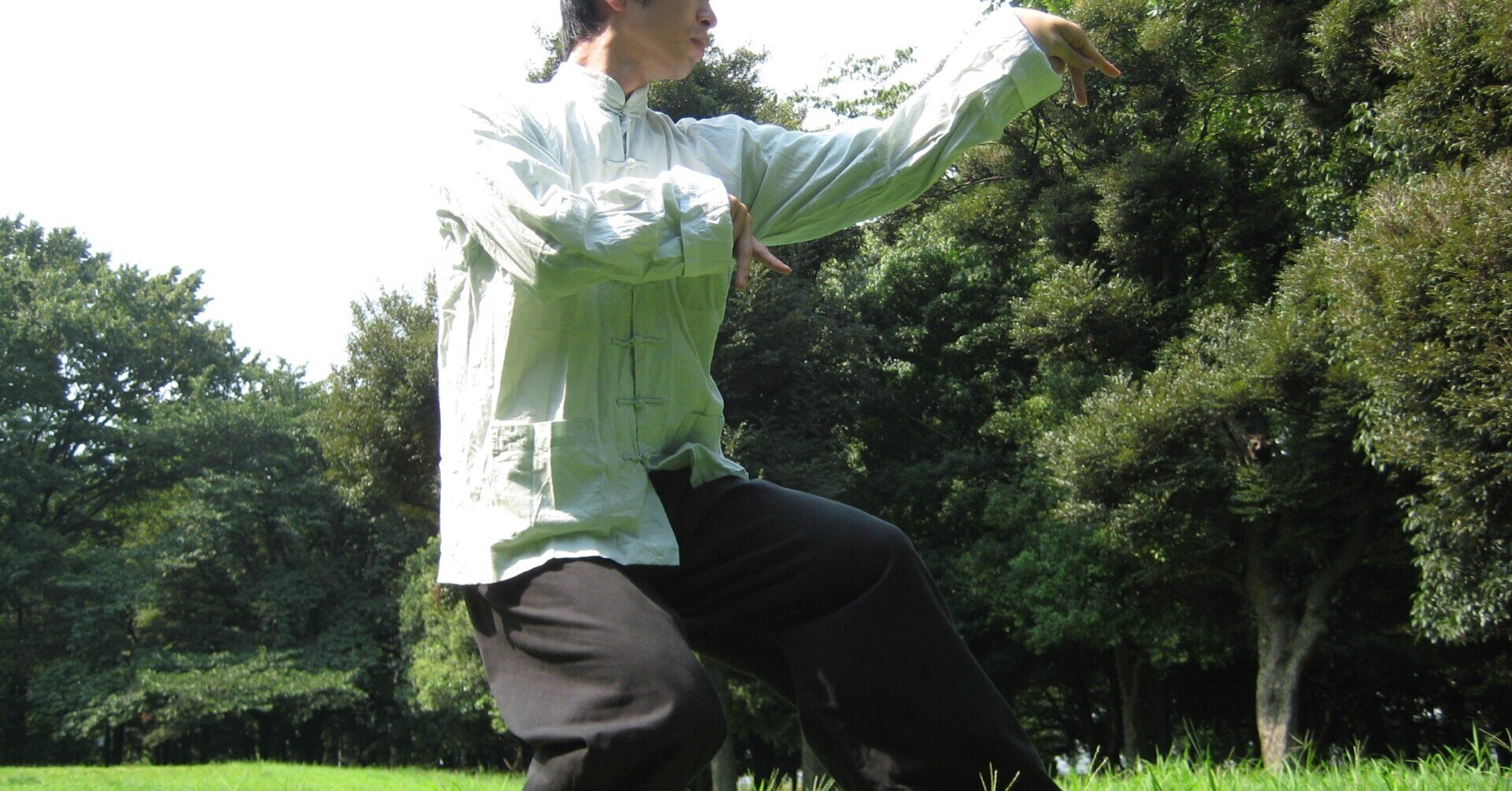 蘇昱彰八極螳螂拳入門 「螳螂拳 基礎編」VHS ビデオ 蟷螂拳 中国武術