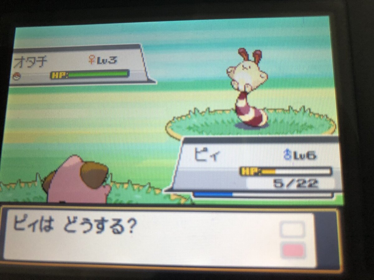 勝行ページ ID22224 ストーリー序盤 初心者がメロボ乱数とウツギ乱数をやってみた【ポケモンHGSS