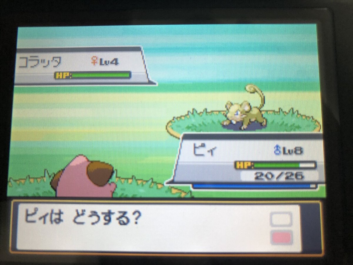 ポケモンプレイ記】ポケットモンスター ハートゴールド【メロボ