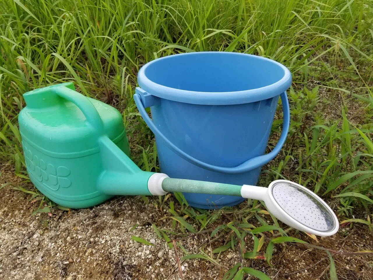 これがあれば始められる❗ 家庭菜園の基本用品集｜錬金術師の家庭菜園
