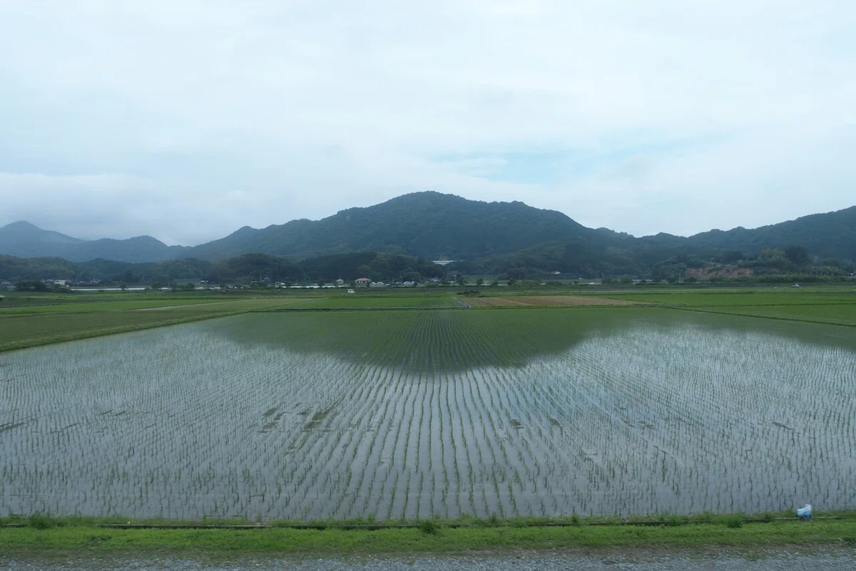 画像9