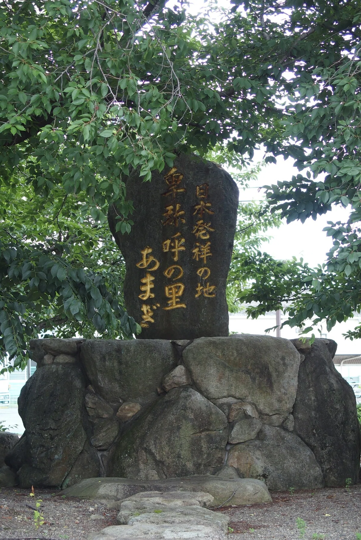 画像21