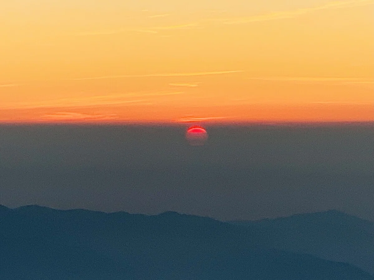 画像14