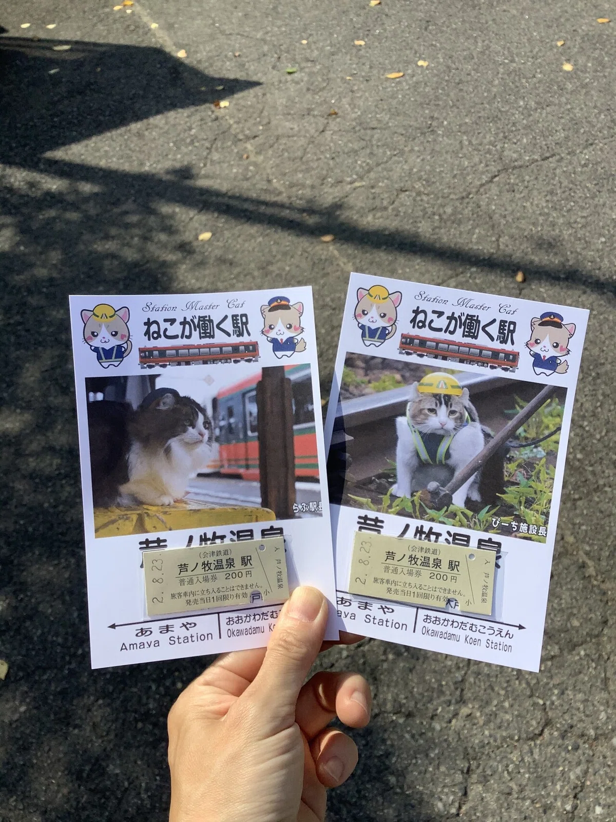 画像11