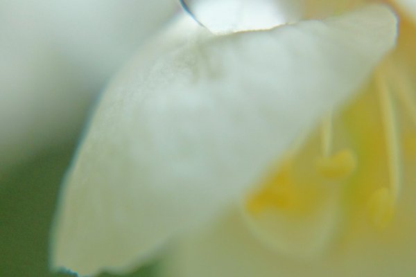 あと2日で職場を去るというのに凄まじい嫌がらせの手をゆるめない同僚ここまで来るとあっぱれとしか言いようがないまずは自分の仕事の終いをつけてからにしたらいいのにあわれ の新着タグ記事一覧 Note つくる つながる とどける あと2日で職場を去るというのに凄まじい嫌がらせの手をゆるめない同僚ここまで来るとあっぱれとしか言いようがないまずは自分の仕事の終いをつけてからにしたらいいのにあわれ の新着タグ記事一覧 Note つくる つながる とどける