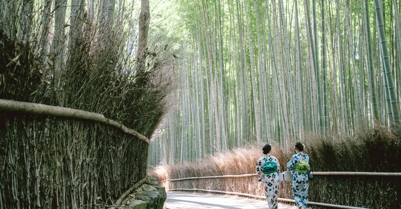 Recommended Sightseeing Spots in Arashiyama｜ファイナル思い出