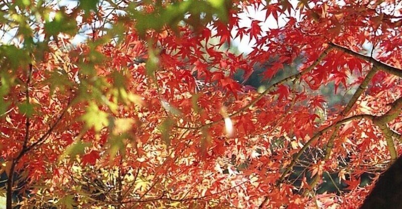 原文 現代語訳 足助八幡宮縁起 上 私の雑記帳 My Record Note By Reco Note