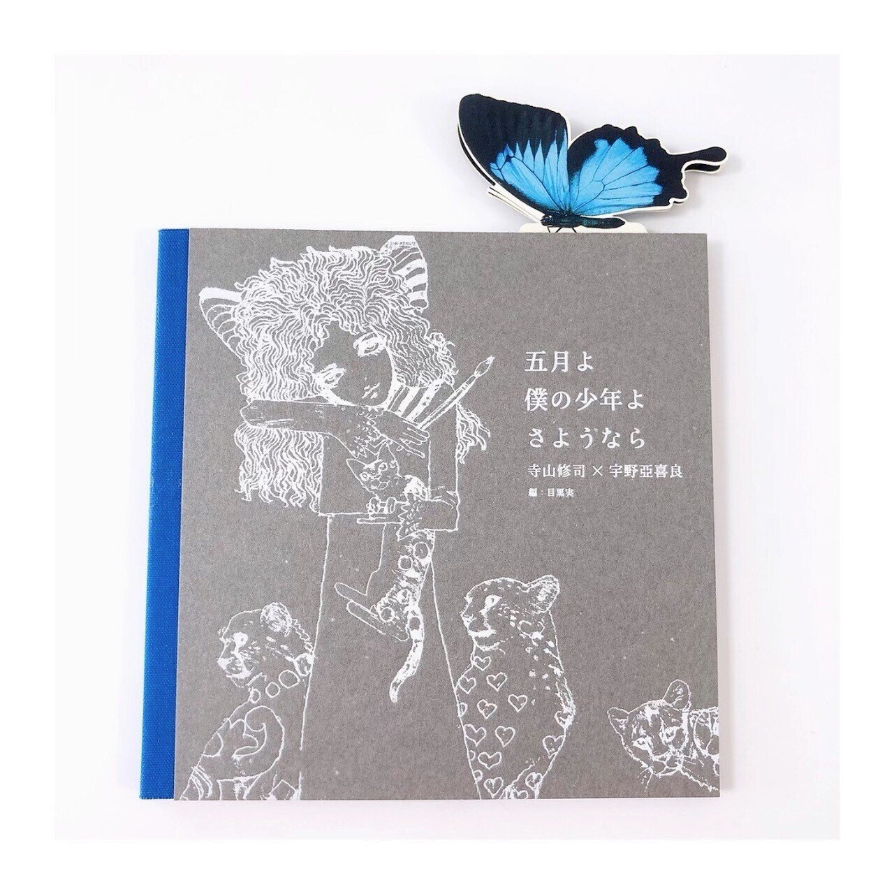 五月よ 僕の少年よ さようなら | 寺山修司×宇野亜喜良｜漂流図書室