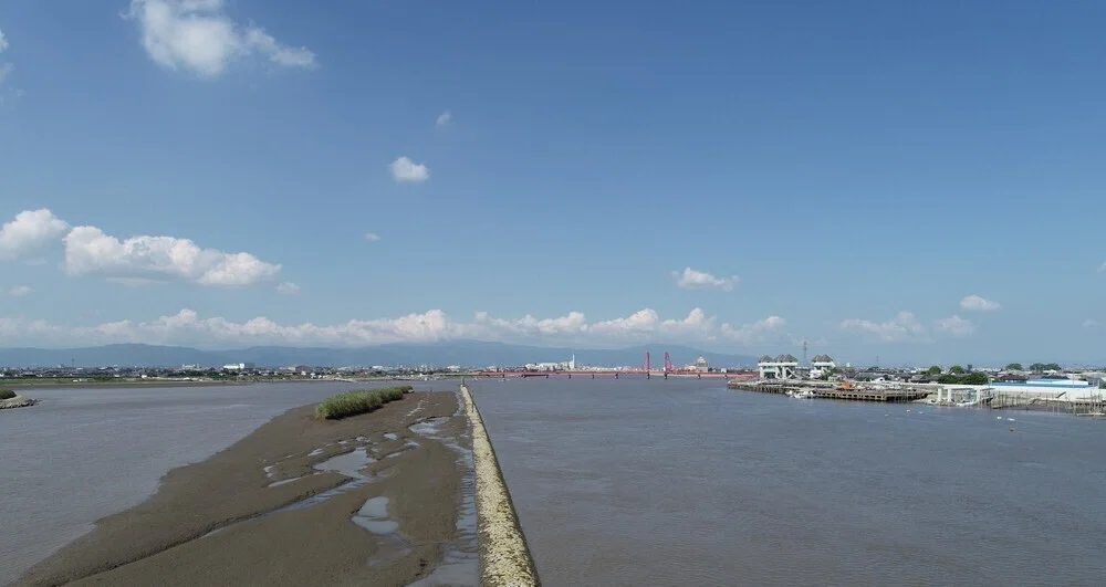 画像4