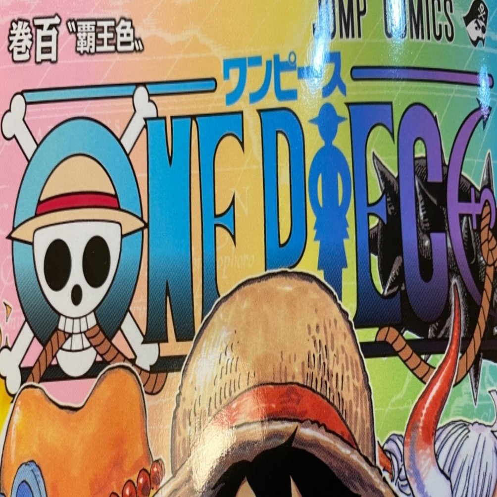ワンピース100巻｜村木藤志郎