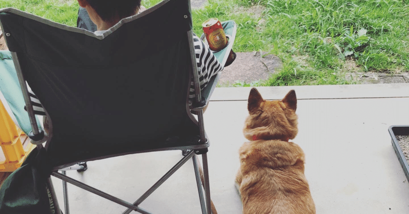 犬の死 の新着タグ記事一覧 Note つくる つながる とどける